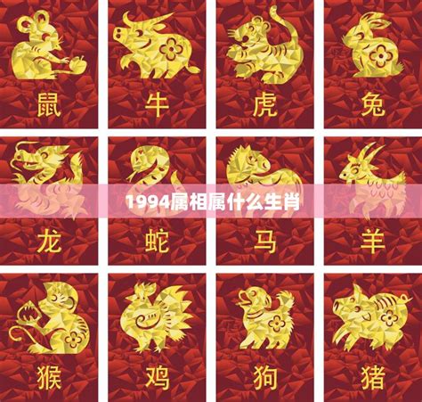 生肖 1994|1994年属什么生肖 1994年出生的生肖是什么命